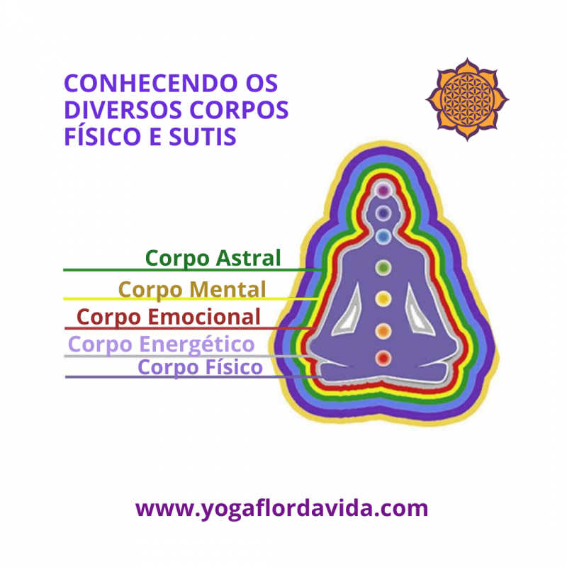 Alinhamento dos Corpos Físico Energético Emocional e Mental Yoga